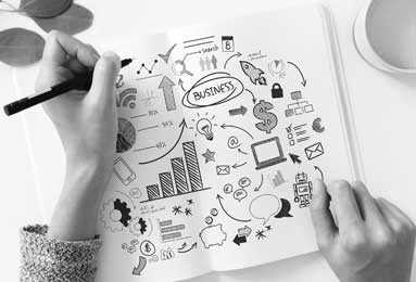 开云官方网站：开启数字生活的新入口